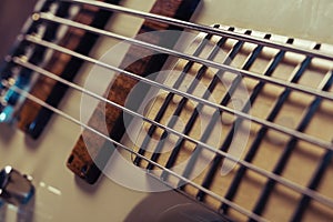 Close up of electric bass guitar element