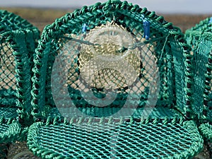 Close Up Of A New Lobster Pot