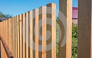 Close-up of a new wooden picket fence in the backyard of a country house, a sunny summer day