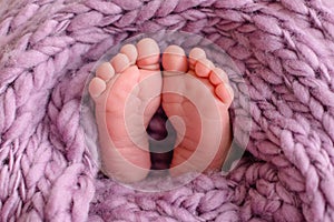 Close up of newborn baby feet covered with the blanket