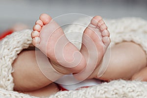 Close up of newborn baby feet covered with the blanket