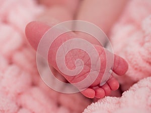 Close up of newborn baby feet covered with the blanket