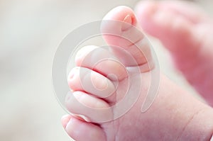 Newborn baby toes photo
