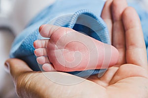 Close up of a newborn baby foot in mother's hands.