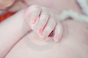 Newborn baby fingers