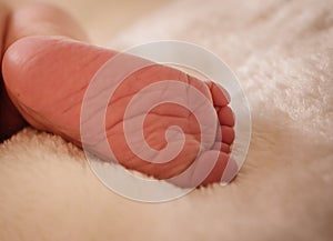 Close up of a newborn baby`s feet