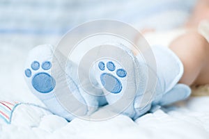 Close-up of newborn feet in soft blue booties