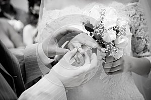 Close-up of newly-married putting on rings photo