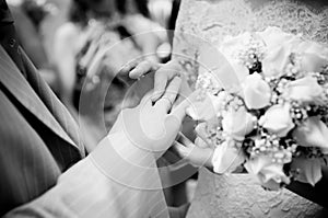 Close-up of newly-married putting on rings