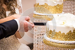 Close-up of a newlywed couple`s hands cutting their wedding cake.
