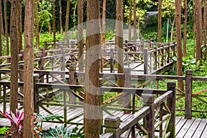 Close-up of nine curved corridor walks and railings that shuttle in the park