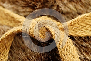 Close up of node rope