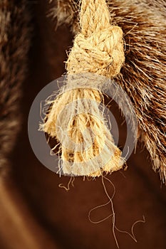 Close up of node rope