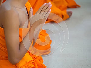 Close-up of novices monk are praying