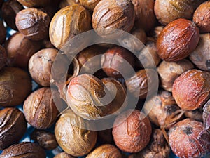 Close up of nutmeg seeds