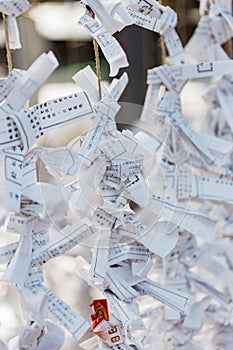 Close up O-mikuji are random fortunes written on strips of paper at Shinto shrines and Buddhist temples in Hokkaido Shrine.