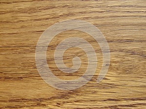 Close-up of oak texture