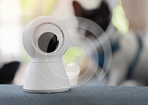 Close up object shot of a modern Wi-Fi surveillance camera set in the room with dog is sitting on a sofa in the Background