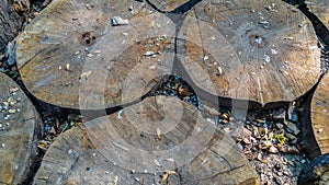 Close Up od Wood Choped in Circles,Leaves and Rocks on the Ground.Natural Background Wallpaper