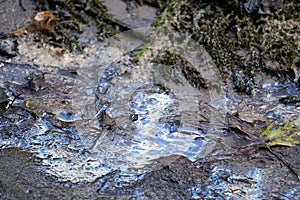 Close up of oil slick on gray wet sand