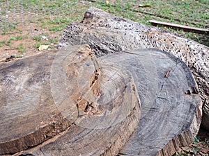 Close up of old aged weathered cracked dark brown natural wood texture.