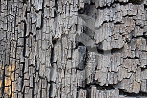 Close up of old ancient cracked wood texture, can be used as Background or Wallpaper