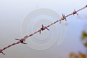 Close up old barbed wire fence