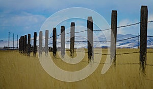 CLOSE UP: Old barbed wire fence runs around a golden grassfield in Montana.