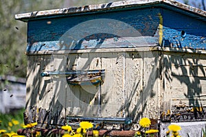 Close up of an old beehive with bees