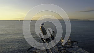 Close-up of old and destroyed ship trunk and gull sitting on a rusty pipe against the sunset sky. Shot. Marine