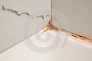 Close up of old dirty white ceramic tile wall with rust stains.