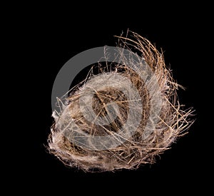 Close up old empty bird nest. Studio shot isolated on black