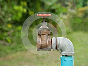 Close up old grunge brass faucet water in nature park background