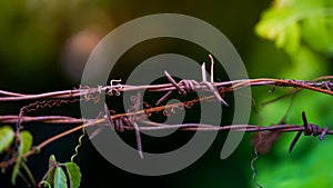 Close-up of an old iron barbed fence and a soft focus green bokeh background