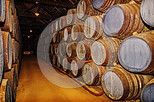 Close-up of old oak barrels photo