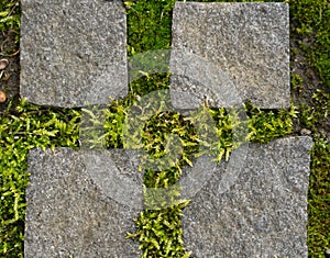 Close-up of old pavement cobblestone from urban place