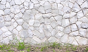 Old rock white grey texture decorative on concrete wall with seamless patterns and  nature green grass on background