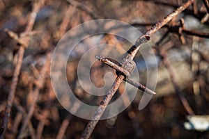 Close up old rusty barbed wire with blurred background.