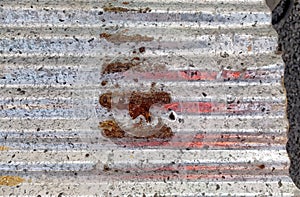 Close-up of an old rusty galvanized sheet.
