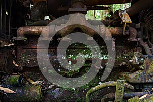 Close-up of an old rusty and mossy car engine