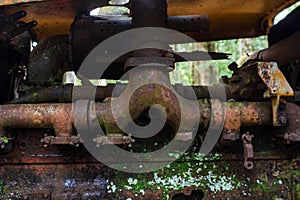 Close-up of an old rusty and mossy car engine