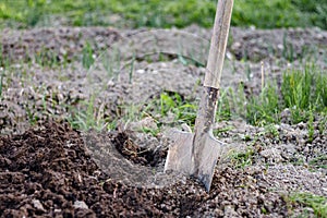 Close up of an old shovel digging the ground at the home garden