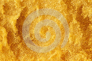 Close up old sponge surface background