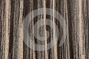 Close up of old striped grain wood texture