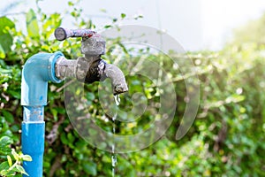 Close-up of an old water tap or faucet leaking drop of water with green nature background