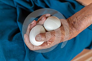Close-up of the old woman's hand Poor Thai grandmother holds a large white duck egg for dinner. Pure egg whites