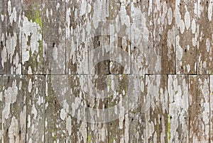 Close up of old wood plank texture