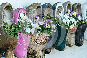 Close up of old wooden clogs with blooming flowers