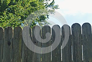 Close-up of an old wooden rural fence with a garden orchard behi