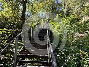 Close up of old wooden staircase in woodland. Stairs of wood on sunny day in park